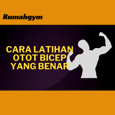 cara latihan otot bicep